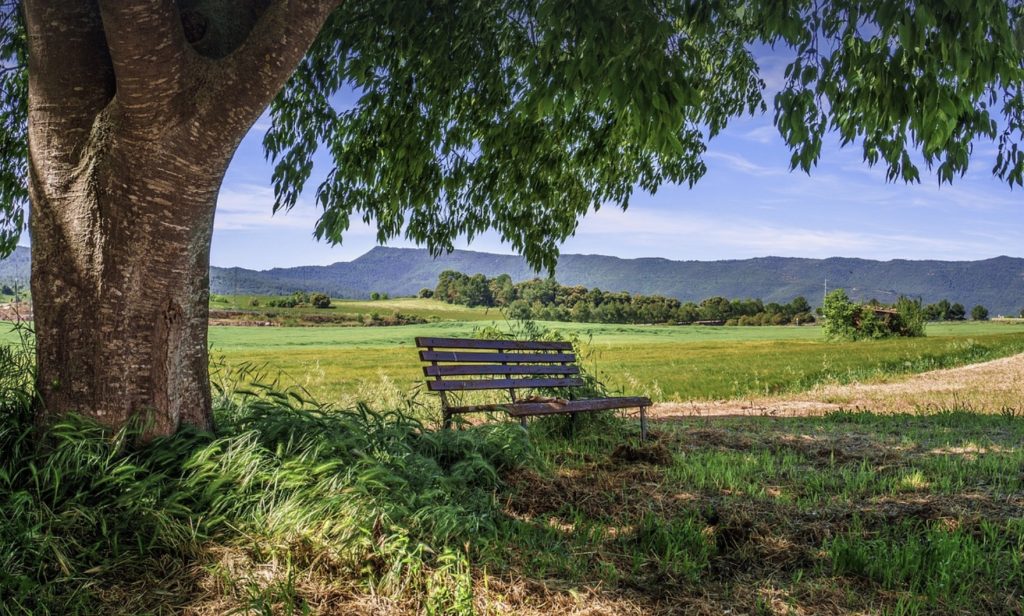 ce qui relie écologie rurale